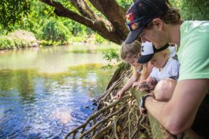 Spotting Turtles, Fish and Eels at Paronella Park