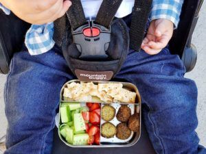 Healthy food Ideas For Travelling With Kids