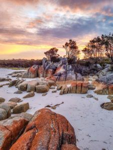 Bay of fires, The Blonde Nomads