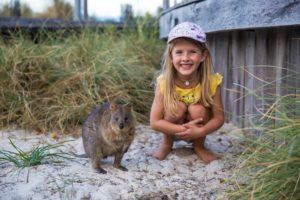 the blonde nomads marlin and a quokka