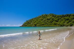 Where the rainforest meets the sea at the beautiful Daintree. www.theblondenomads.com.au