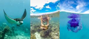 Snorkelling in Fiji is magic