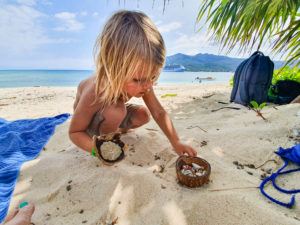 Collecting hermit crabs and shells on Mystery Island, Vanuatu 