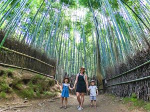 The Bamboo forest in Arashiyama is a lovely place to visit but go early