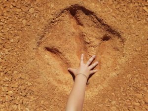 Dino prints at Gantheaume Point