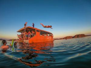 it's superman - swimming with 30,000 fresh water crocodiles in Lake Argyle 