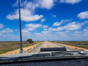 Crossing the Nullarbor is a great experience - make sure you have a great playlist to sing along to