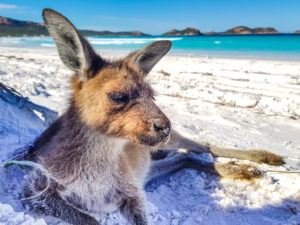 Chilling on one of the best beaches in Australia - Lucky Bay