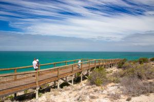 Stop in at the Head of the Bight Centre to take in the amazing views and look for whales