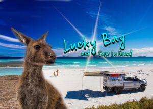 5 things to know about Lucky Bay and Cape Le Grand, WA