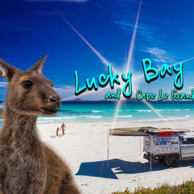 5 things to know about Lucky Bay and Cape Le Grand, WA