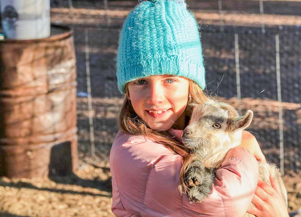 5 Fabulous Family Farm Stays you have to try in NSW & QLD