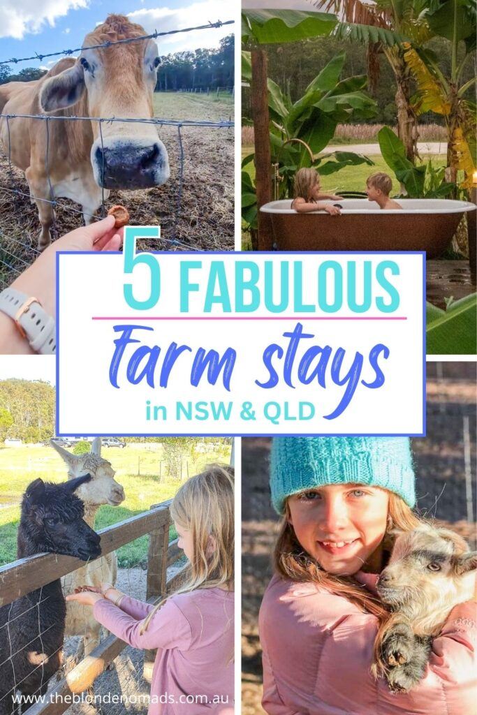 5 Farm Stays to visit with the family, the blonde nomads