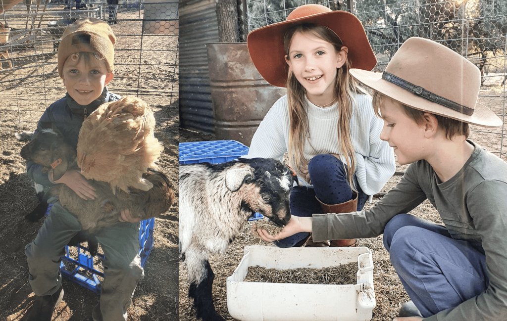 Kid Kindy at Carinya Station was a huge hit with our mini Blondies